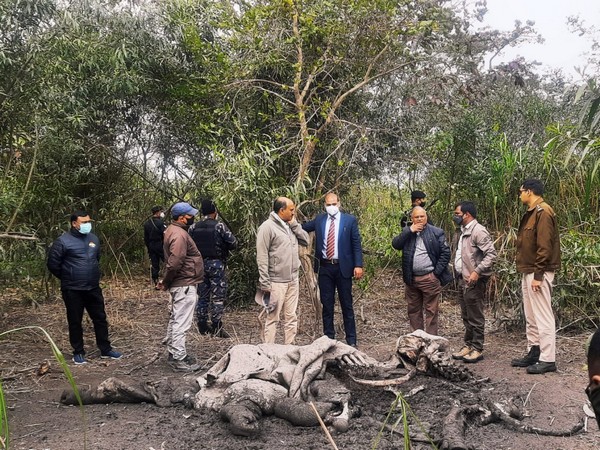 Assam Rhino Protection Task Force officials during their visit to rhino poaching site