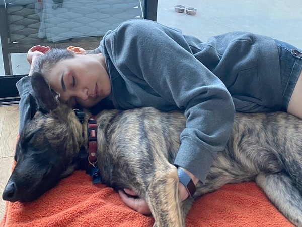 Preity Zinta and her pet Bruno (Image courtesy: Instagram)