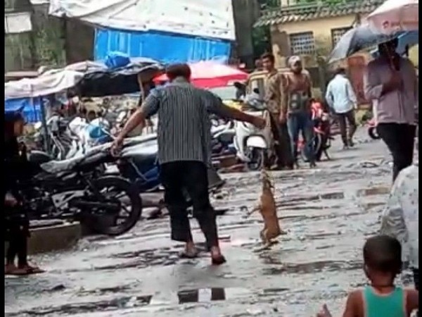 The incident was recorded by a neighbour who posted the video on social media. Photo/ANI