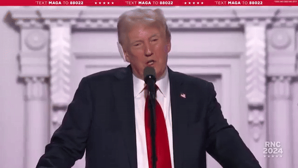 Donald Trump at Republican National Convention (Photo/Republican National Convention)