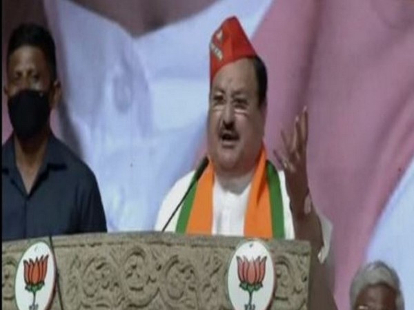  BJP National President JP Nadda (File Photo)