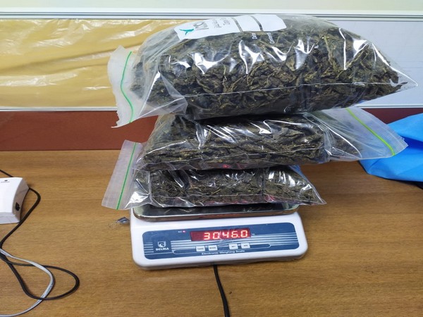 3 Kgs of marijuana seized at Kannur International Airport on Saturday.