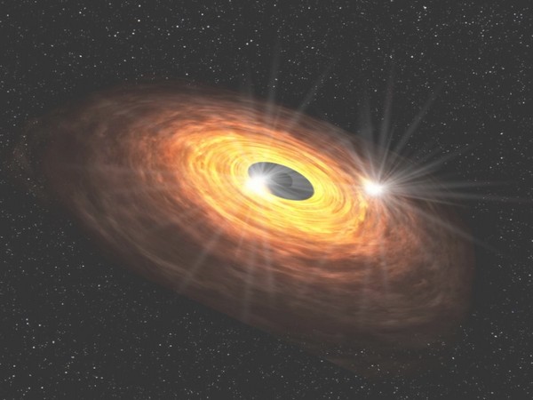 Artist's impression of the gaseous disk around the supermassive black hole (Image credit: Keio University)