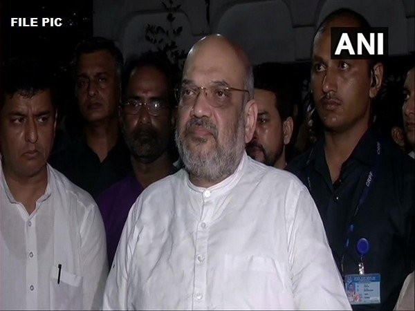 Union Home Minister Amit Shah (File pic)