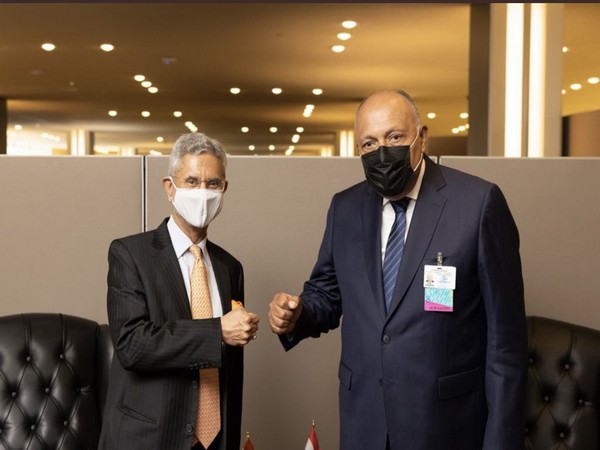 External Affairs Minister S Jaishankar with Egyptian counterpart Sameh Shoukry (Image Credit: Twitter)