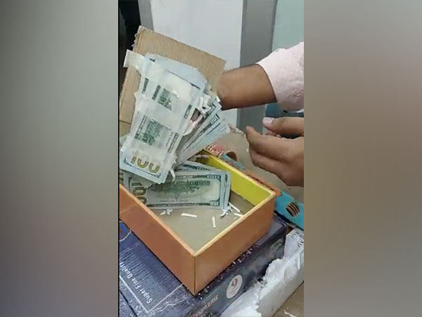 Cash seized by the Delhi Customs (Credit: Delhi Customs)