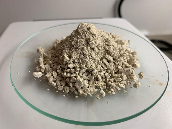 Drugs worth Rs 60 crores in Kochi. (Photo/ANI)