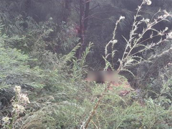 Visuals from the spot (Photo/ANI)