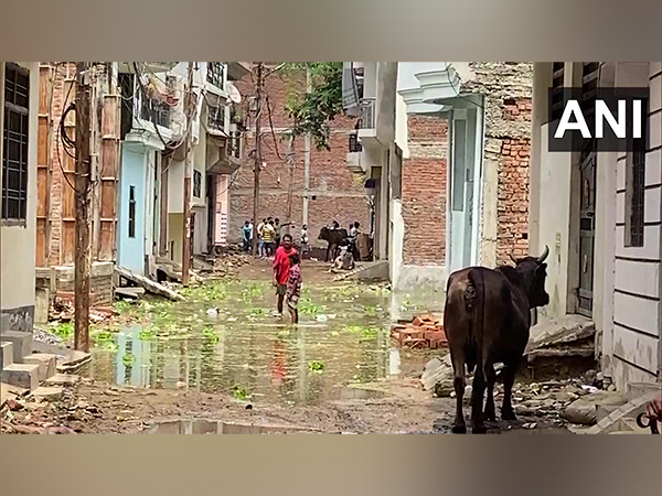 Areas submrged in Prayagraj as water level rises (Photo/ANI)