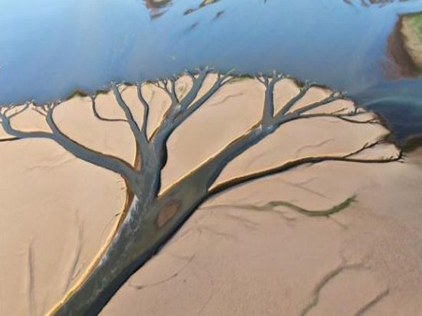 Representative image (Photo Credit: WMO)