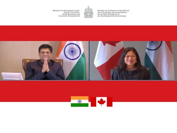 Virtual meeting between Mary Ng and  Piyush Goyal. (Twitter)