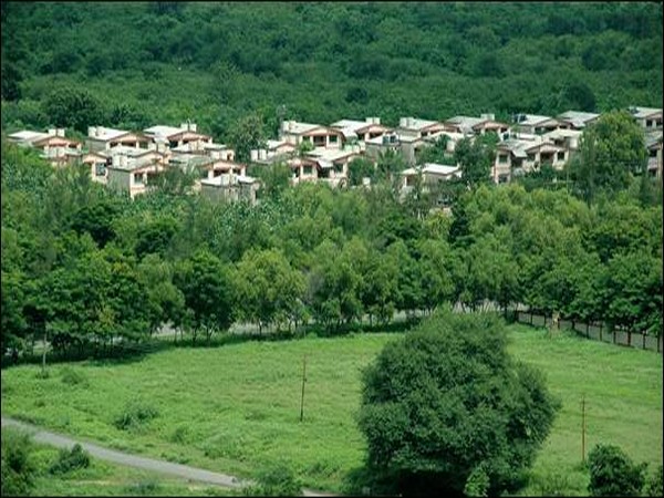Plantation around residential colony at Pench Area of WCL in Madhya Pradesh (Photo/PIB)