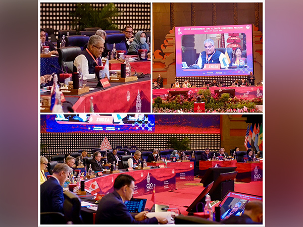 Union Environment Minister Bhupender Yadav at G20 Meet in Bali (Photo Credit: Twitter @byadavbjp ) 