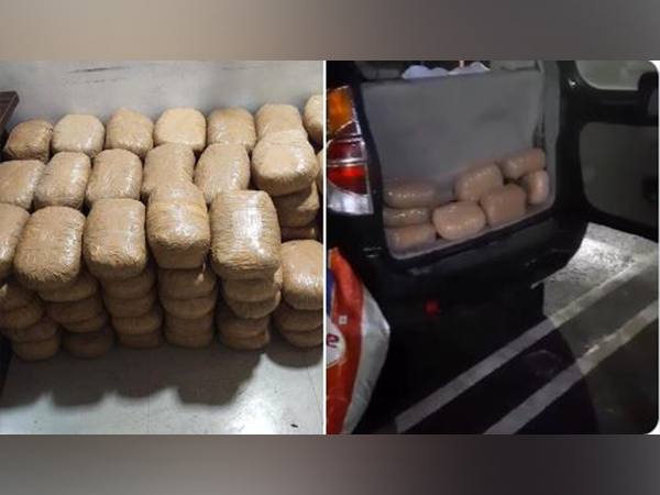 Visual of the recovered items by NCB (Photo/ANI)