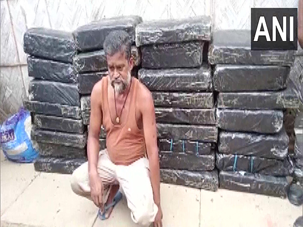 Assam Police seized 400 kg of ganja and arrested one person in Nagaon district (Photo/ANI)