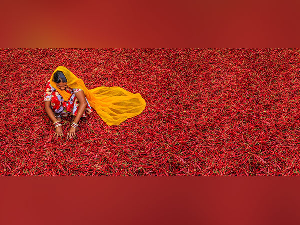 What makes India a magnet for start-ups and unicorns