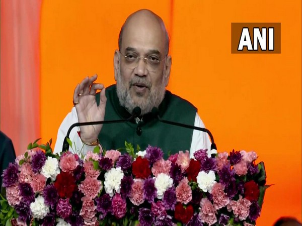 Union Home Minister Amit Shah (Photo/ANI)