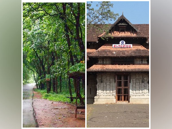 India: Kerala's Nilambur, Thrissur join UNESCO Global Network of Learning Cities 