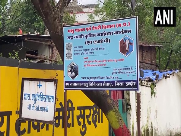 Lumpy virus infects two cattle in Madhya Pradesh's Indore (Photo:ANI)