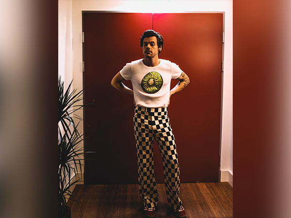 Harry Styles (Image Source: Instagram)