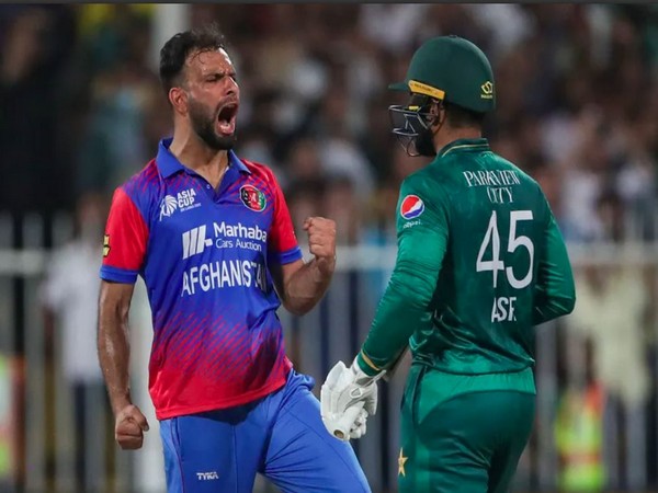 Fareed Ahmad and Asif Ali (Photo: ICC)