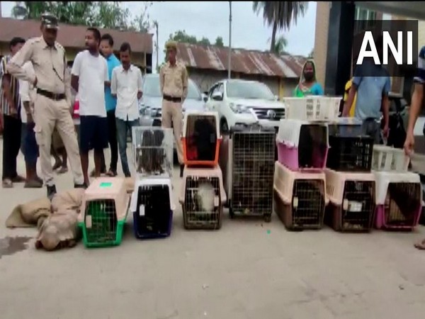 Visual of the recovered wild animals in Assam (Photo/ANI)