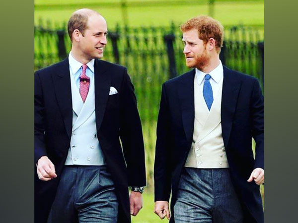Prince William, Prince Harry (Image Source: Instagram)