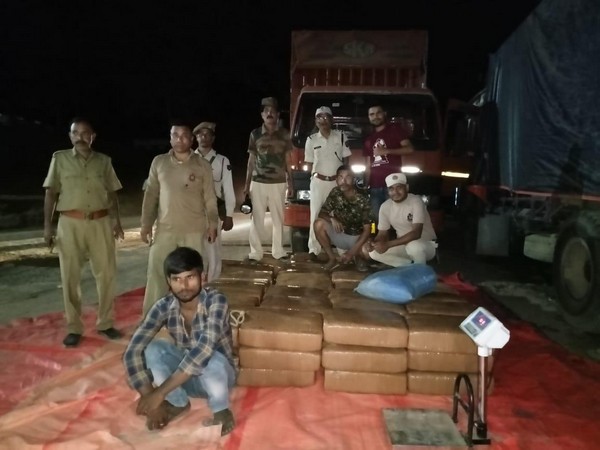 Assam Police seized 1100 kg of ganja and arrested one person in Guwahati (Photo/ANI)