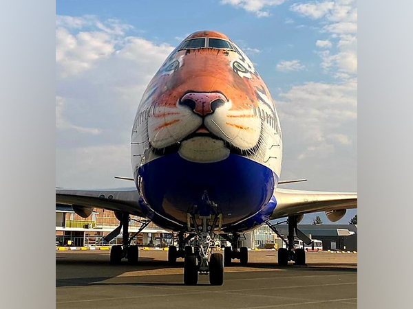 Tiger-faced customised jet reaches Namibia to bring cheetahs to India (Photo: Twitter/@IndiainNamibia)