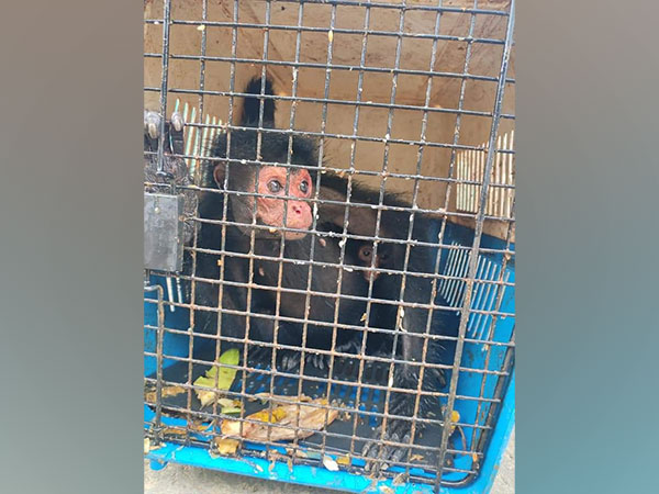 Rescued animal with Mizoram Police. Courtesy: Twitter/@mizorampolice