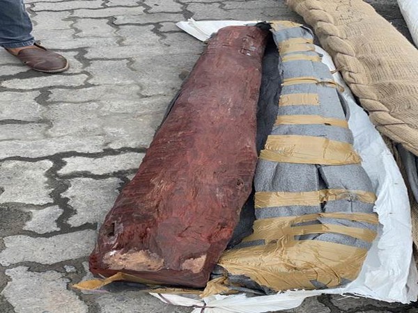 Seized red sandalwood with DRI and Customs. (Photo/PIB)
