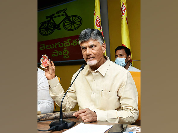 TDP National President and former Andhra Pradesh Chief Minister N Chandrababu Naidu (Image/ANI)