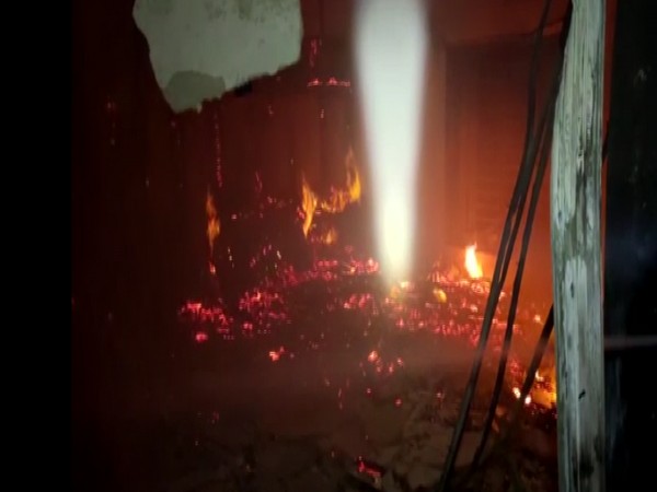 Visual from the fire (Photo/ANI)