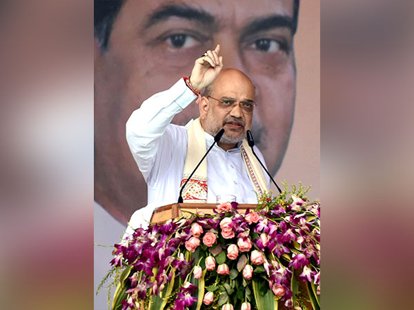 Union Home Minister Amit Shah (File Photo/ANI)