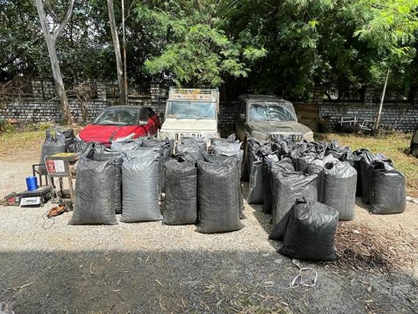 Visual of the seized narcotics (Photo/PIB)