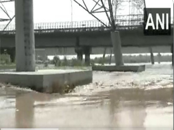 Visual of the Yamuna river in Delhi (Photo/ANI)