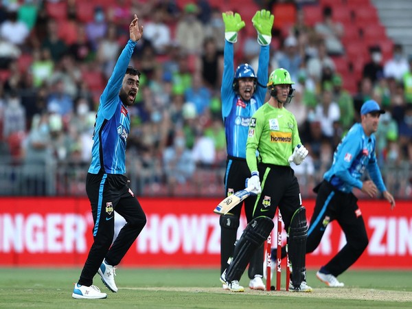 Representative Image. (Photo- cricket.com.au)