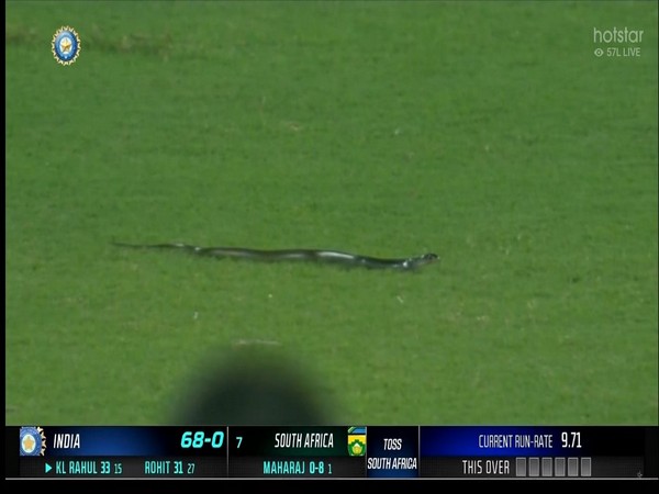 Snake interrupts play during second IND-SA T20I (Photo: Hotstar/ Star Sports)