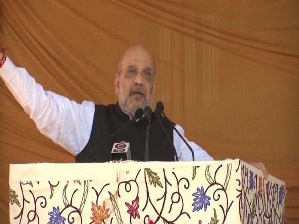 Union Home Minister Amit Shah (Photo:ANI)