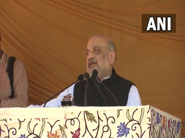 Union Home Minister Amit Shah. (Photo/ANI)