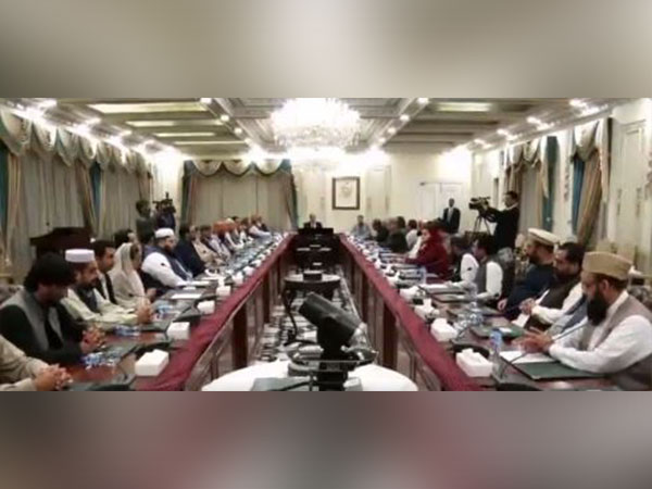 Screen of meeting of coalition rulers (Image Credit: Twitter/@pmln_org)