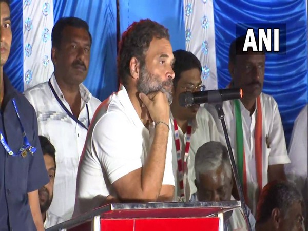 Congress leader Rahul Gandhi (Photo/ANI)