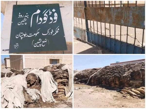 Wheat rots reportedly in government godowns in Balochistan amid dire food crisis