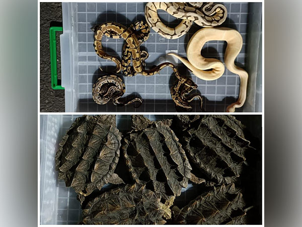 Exotic animals seized at the air cargo complex in Mumbai (