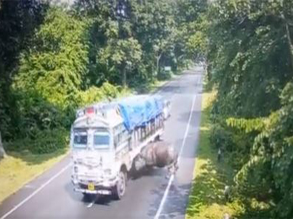 Visual from the spot