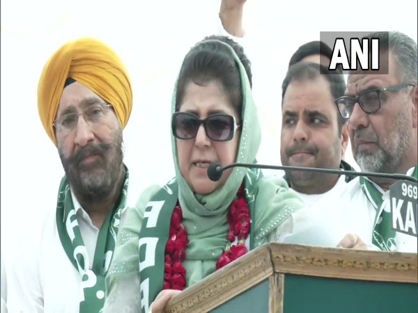 PDP Chief Mehbooba Mufti (Photo/ANI)