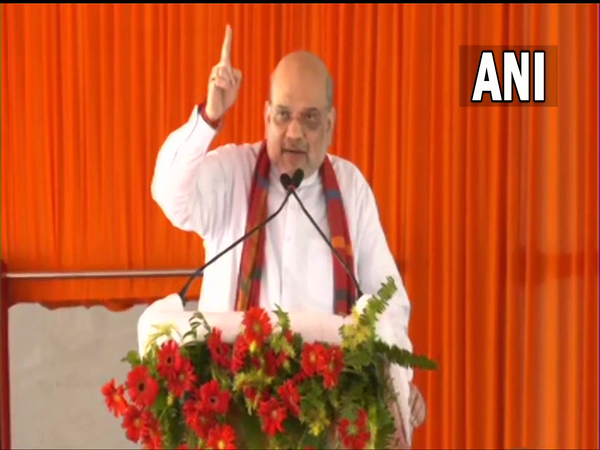 Union Home Minister Amit Shah  (File photo/ANI)