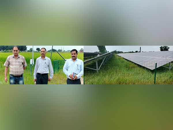 Visuals from solar plant in Palli 