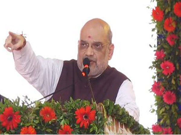 Union Home Minister Amit Shah (Photo/ANI)