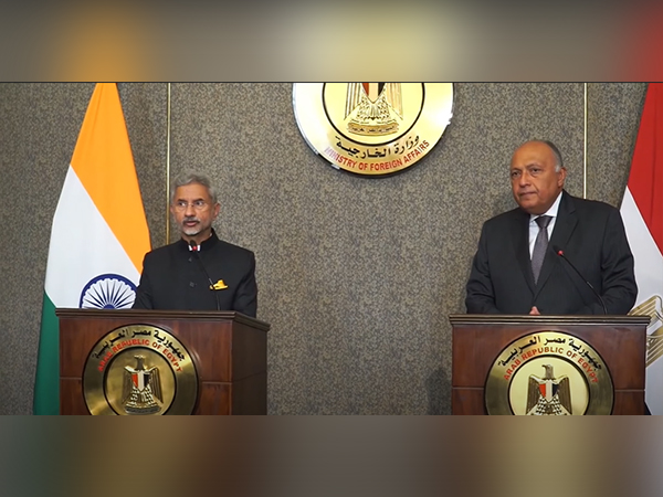 External Affairs Minister S Jaishankar and his Egyptian counterpart Sameh Shoukry
